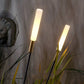SolaLume | Lampe Solaire LED Étanche Jardin Extérieur