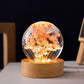 LumiCristal | Lampe LED 3D Fleur Cristal Décorative