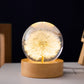LumiCristal | Lampe LED 3D Fleur Cristal Décorative